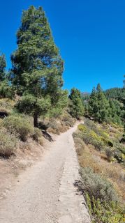 2023-04-GranCan-Roque_Nublo-015.jpg